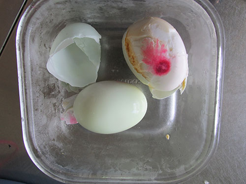 Hai quả trứng có màu đỏ bất thường