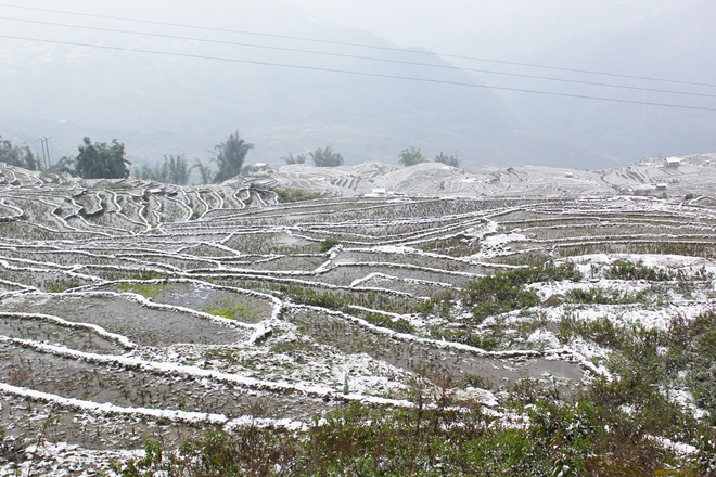 Tại xã vùng biên Y Tý (Bát Xát, Lào Cai), nơi có độ cao 2.000 m so với mực nước biển, tuyết rơi vào khoảng 12h đêm 23/1 và vẫn đang rơi do nhiệt độ tiếp tục xuống thấp. Ảnh: Vnexpress