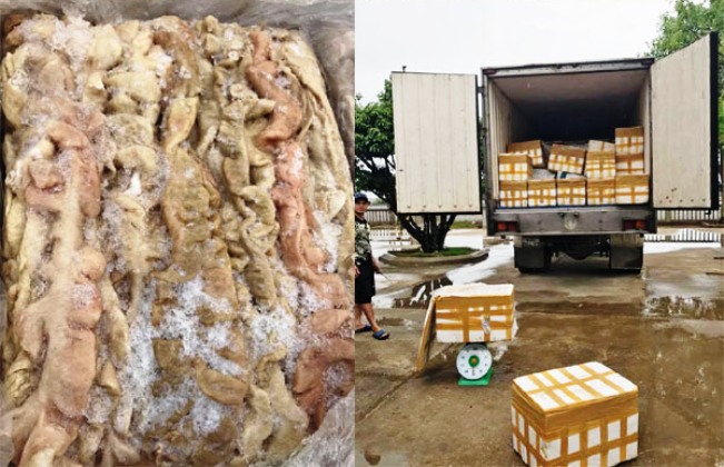 Thanh Hóa: Phát hiện xe tải chở 4,5 tấn nội tạng lợn bốc mùi ôi thiu - ảnh 1
