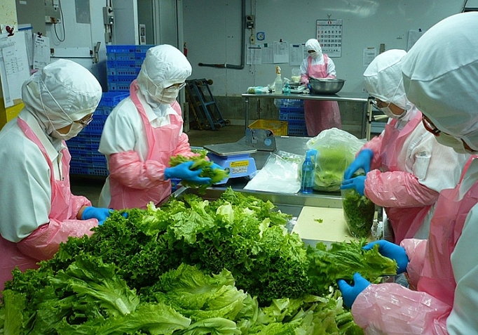  Tiềm năng tăng trưởng xuất khẩu với rau quả chế biến của Việt Nam