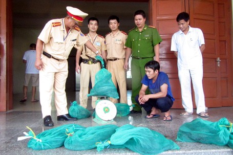 Gần 1 tạ rắn hổ mang chúa ngồi cùng hành khách đi vào Hà Nội bị công an bắt giữ