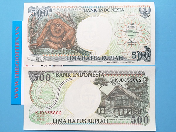 Một trong những tờ tiền in hình khỉ rất giá trị khác là tờ tiền mệnh giá 500 Rupiah của Indonesia. 