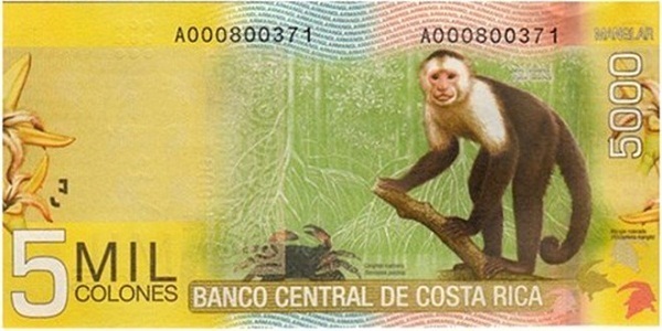 Tờ tiền mệnh giá 5.000 colon của Costa Rica ít phổ biến hơn, nhưng lại có thiết kế khá đẹp mắt. Vì thế, đây sẽ món quà độc đáo cho Tết Bính Thân 2016.  