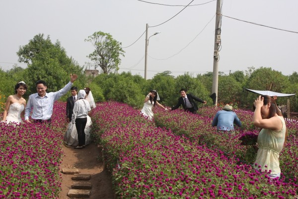 Hiện khu vực làng hoa Nghi Tàm, Quảng Bá, có 3 nhà vườn đẹp là đồi thông Quảng Bá, vườn Thượng Uyển và vườn hoa Phương Linh. Mỗi vườn có đặc điểm riêng. 