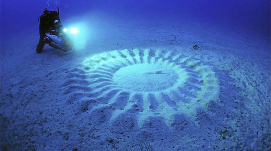 Vòng tròn bí ẩn dưới đáy đại dương Những hình kỳ lạ được tìm thấy dưới đáy biển, chứ không phải trên những cánh đồng ngô. Chúng rộng khoảng 2,1km, những mô hình này rất độc đáo. Và người tạo nên chúng chính là những chú cá nóc đực dài không quá 12cm, chúng vỗ vây vào cát tạo thành những hình tuyệt vời thu hút bạn tình.