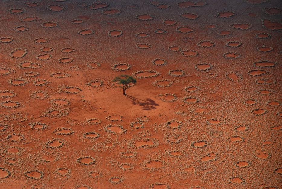 Vòng cổ tích, Namibia Vòng kết nối là các bản vá huyền bí của đất trống xuất hiện trên đồng cỏ châu Phi tươi tốt. Nếu bay từ Angola đến Nam Phi và bạn sẽ thấy hàng ngàn các bản vá này và đôi khi có đướng kính lên đến 9m. Các nhà khoa học cho rằng loài mối sống dưới những vòng tròn này và tiêu thụ các thảm thực vật bên trong, do đó giữ mưa, đất ẩm. 