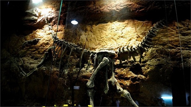 Các hóa thạch tại Erenhot được liệt vào hàng lớn nhất và được bảo quản tốt nhất ở châu Á.  