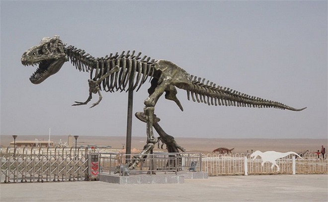 Mô hình khung xương của khủng long bạo chúa Tyrannosaurus.  