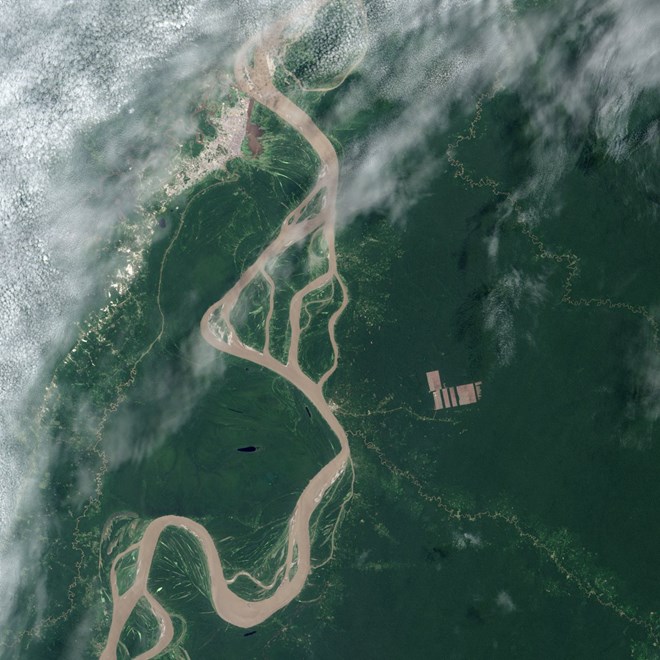 Mảng màu nâu cho thấy một mảng rừng bị đốn ở Loreto, Peru