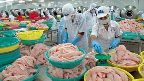 Xuất khẩu sang Mỹ: Việt Nam lại khổ vì bán quá rẻ...