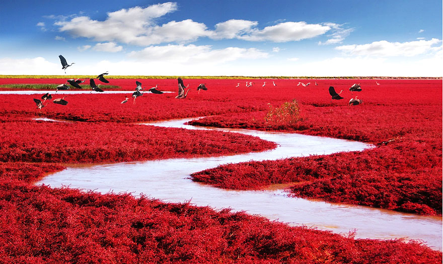 Biển Đỏ, Trung Quốc: Biển Đỏ nằm ở vùng đồng bằng châu thổ sông Liaohe, khoảng 30 km về phía tây nam thành phố Panjin, Trung Quốc. Sở dĩ nó có tên gọi như vậy là bởi vẻ bề ngoài của nó, bị gây nên bởi một loại cỏ biển phát triển trong đất mặn kiềm có màu đỏ rực rỡ vào mùa thu, khiến cho bãi biển trông như được bao phủ bởi một tấm thảm đỏ dài vô tận. 