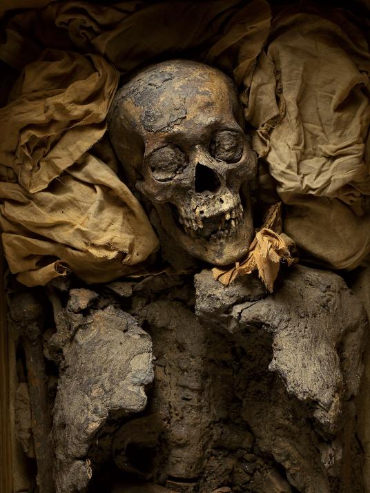 Ông của Pharaoh Tut: Amenhotep III trị vì trong khoảng thời gian huy hoàng của Ai Cập cách đấy 3.400 năm. Xác ướp của ông được tìm thấy vào năm 1898 cùng với 12 xác ướp hoàng gia khác trong lăng mộ của ông ông, Amenhotep II. Ảnh Kenneth Garrett/ National Geographic