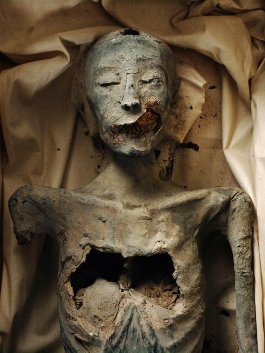 Mẹ của Pharaoh Tut: Xét nghiệm DNA cho thấy, xác ướp người phụ nữ này vừa là chị em của Akhenaten vừa là mẹ đẻ của Tutankhamun. Đây có thể là một trong năm người con của vua Amenhotep III và Tiye. Ảnh Kenneth Garrett/ National Geographic