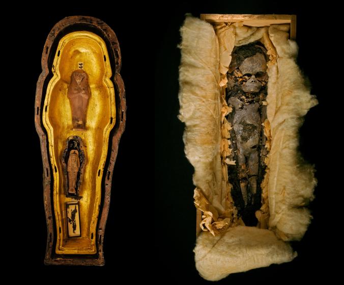 Con gái Pharaoh Tut?: Xác ướp bào thai khoảng 7 tháng tuổi này được tìm thấy trong lăng mộ vua Tutankhamun cùng với một bào thai nhỏ tuổi hơn. Một hoặc cả hai bào thai có khả năng là con gái của Tutankhamun. Ảnh Kenneth Garrett/ National Geographic