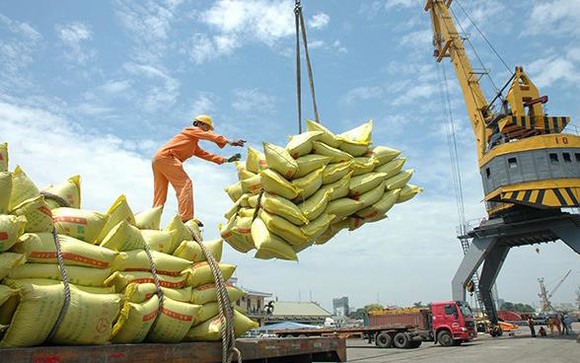 Thủ tướng chỉ đạo tháo gỡ khó khăn việc xuất khẩu gạo