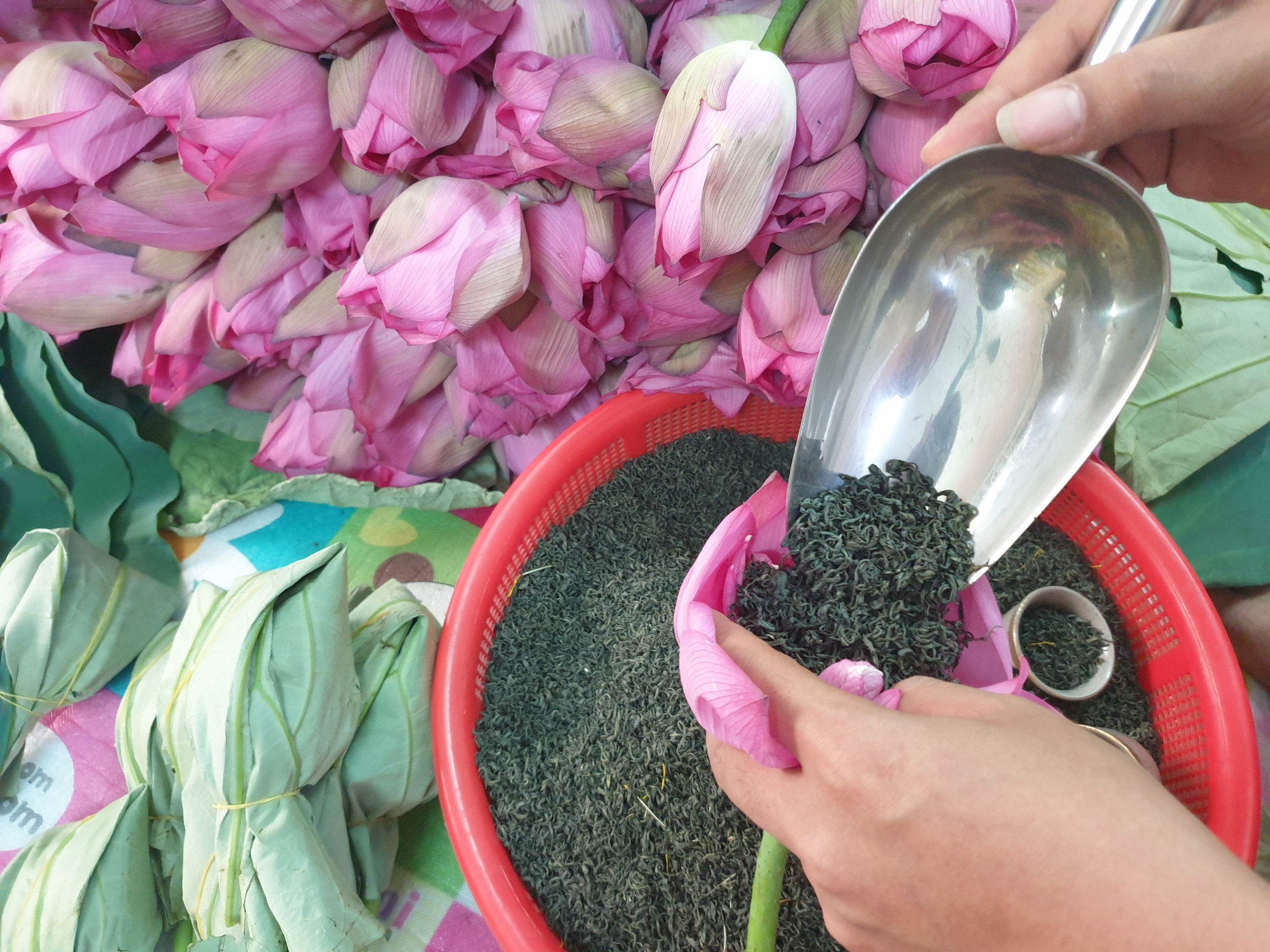 Nhờ công nghệ ướp đặc biệt, trà sen Việt vươn ra thế giới