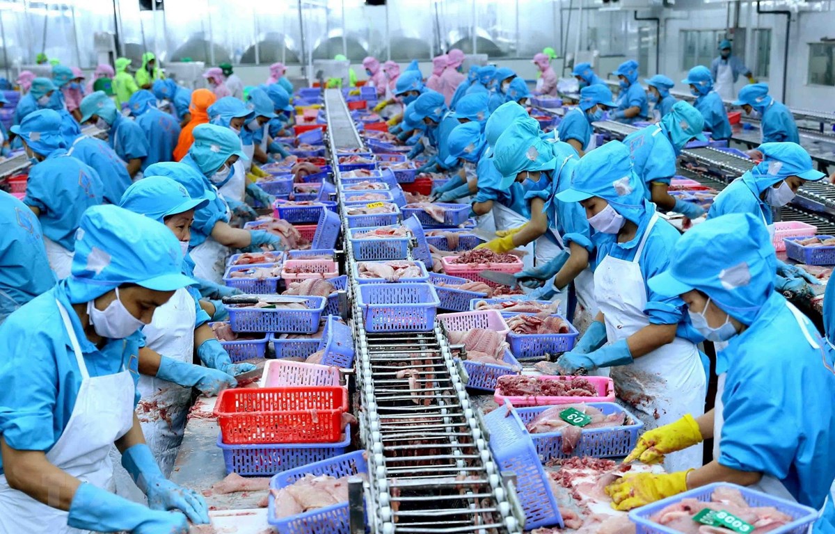 Chuyên gia ADB: Triển vọng kinh tế Việt Nam trong ngắn hạn vẫn còn thách thức