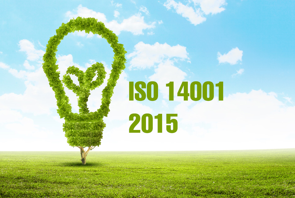 Nhờ có chứng nhận ISO 14001:2015 doanh nghiệp hạn chế các rủi do về môi trường