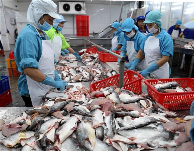 Thị trường Trung Quốc: Cơ hội rộng mở cho xuất khẩu thủy sản của Việt Nam
