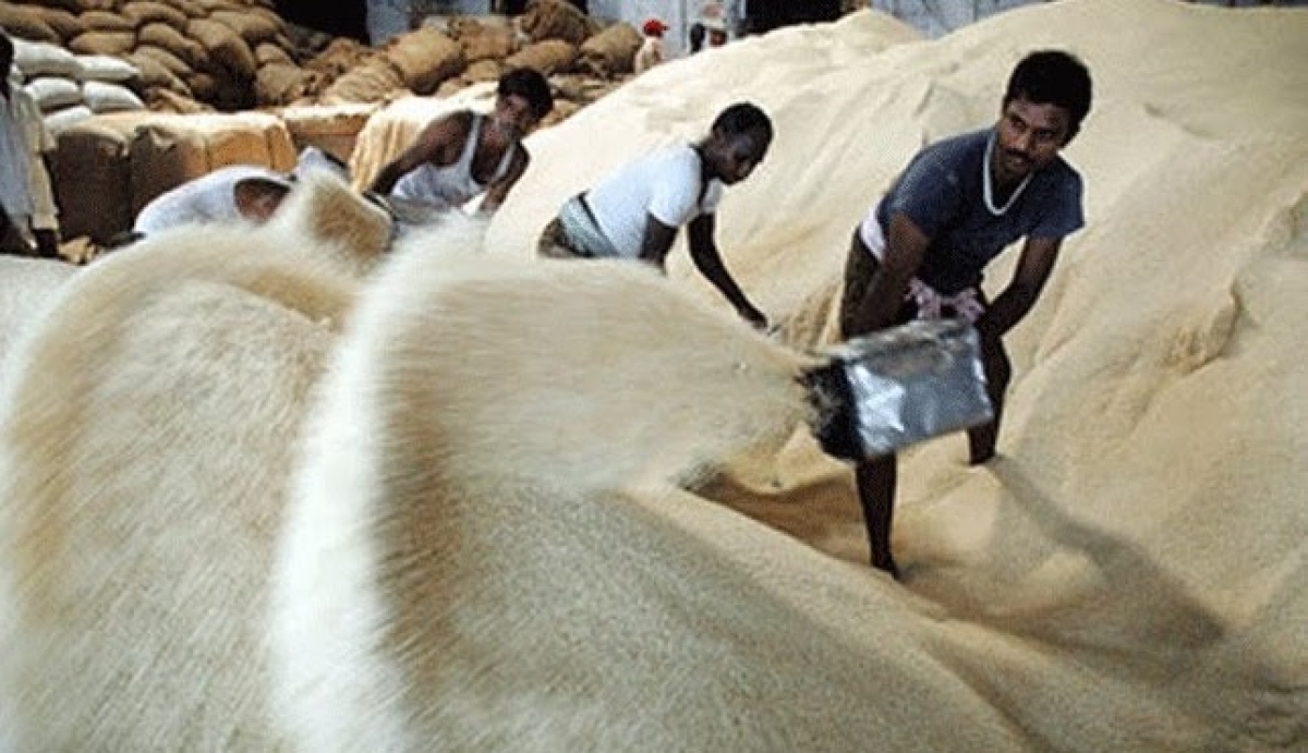 Ấn Độ áp thuế và cấm xuất khẩu một số loại gạo