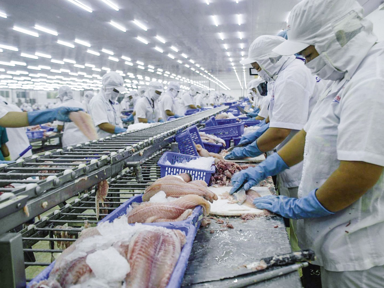Giá cá tra đông lạnh Việt Nam nhập khẩu vào Mỹ tăng 56%