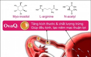 Thực phẩm bảo vệ sức khoẻ SpermQ–OvaQ1: Quảng cáo lừa dối người tiêu dùng?