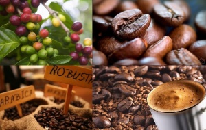 Cơ hội cho nông sản Việt gia tăng xuất khẩu