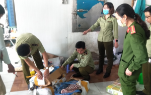 Phát hiện 416 kg thực phẩm đông lạnh gồm thịt trâu, thịt heo... không rõ nguồn gốc, xuất xứ