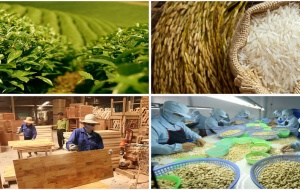 Nông nghiệp đẩy mạnh phát triển sản xuất hàng hóa theo thế mạnh từng vùng