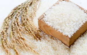 Gạo Việt ngày càng khẳng định thương hiệu trên thị trường quốc tế