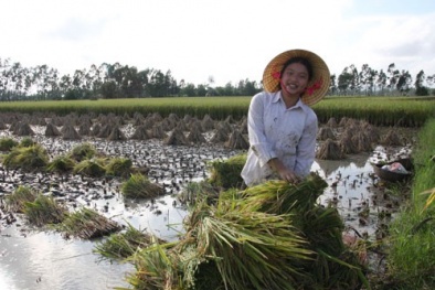 Định giá đất vẫn còn khúc mắc