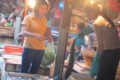 Cá Trung Quốc “dán tem” Việt Nam
