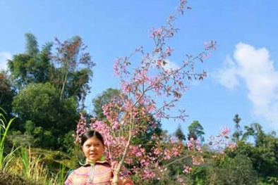 "Cõng" khoa học lên vùng cao