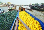 Nghịch lý trái cây