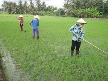 Định hình nền nông nghiệp nhờ ứng dụng KHCN