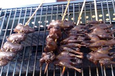 "Hóa kiếp" vịt con thành chim sẻ