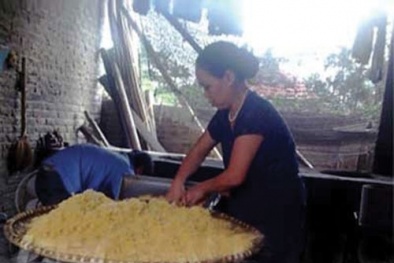Ruốc thịt làm bằng phẩm màu trộn sắn dây