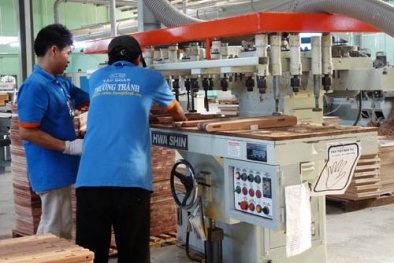 Gỗ Trường Thành: Gỗ tốt nhưng đã tróc sơn