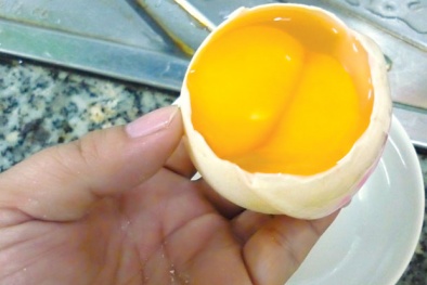 Trứng gia cầm lạ không có gì bất thường?