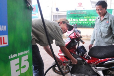 Hợp lực để hàng xanh phát triển