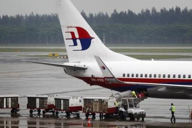 Đàn vịt đâm vỡ kính máy bay Malaysia Airlines