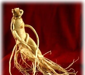 Phân biệt nhân sâm thật và giả thế nào?