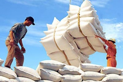 Trung Quốc bỗng dưng ồ ạt nhập khẩu gạo: Mừng hay lo?