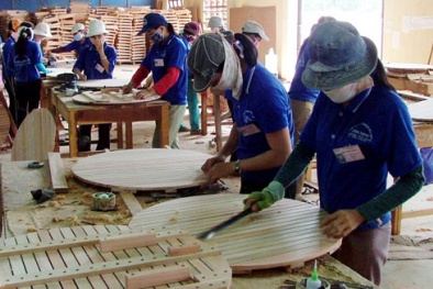 Bình Định đặt mục tiêu năng suất TFP trong GDP tăng 30% vào 2015