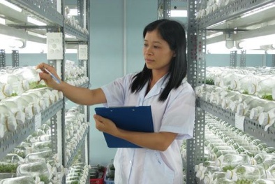 Thi đại học 2014: Tỉ lệ chọi nhiều ngành cao đột biến