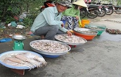 Những hải sản “lạ” chưa có lời giải
