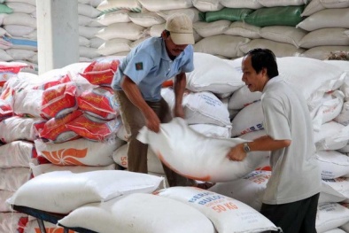 Xuất khẩu gạo Việt Nam đang trở lại thị trường Châu Á