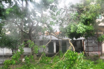 Tan hoang nơi bão bão số 2 đi qua