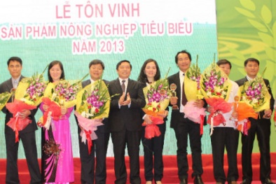 PVFCCo - Giữ vững uy tín, vững vàng vượt 'sóng'