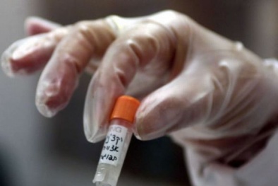 WHO đưa ra giải pháp ngăn chặn dịch bệnh Ebola lan rộng
